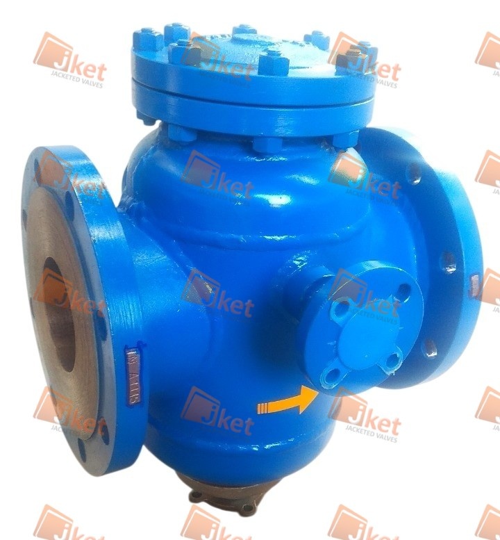 Blue full jacketed swing check valve
